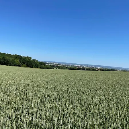 Hautil